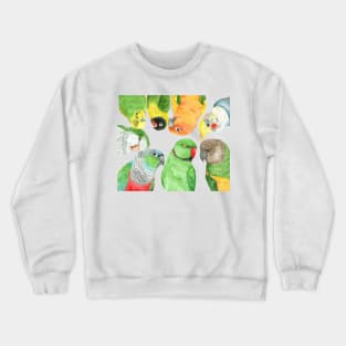 Special medium parrots watercolor painting party Crewneck Sweatshirt